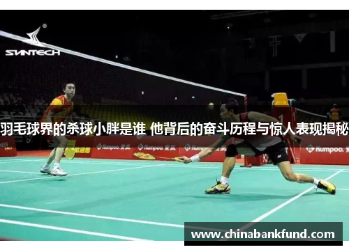 羽毛球界的杀球小胖是谁 他背后的奋斗历程与惊人表现揭秘