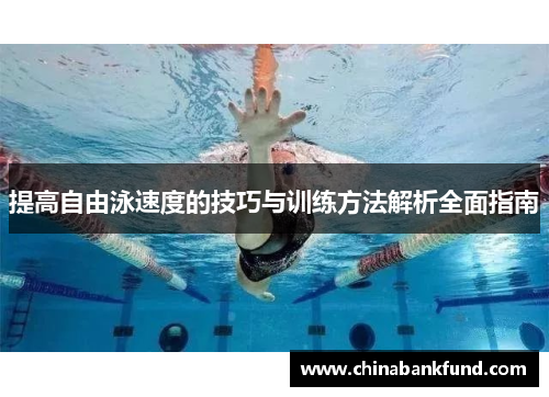 提高自由泳速度的技巧与训练方法解析全面指南