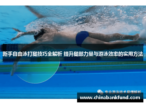 新手自由泳打腿技巧全解析 提升腿部力量与游泳效率的实用方法