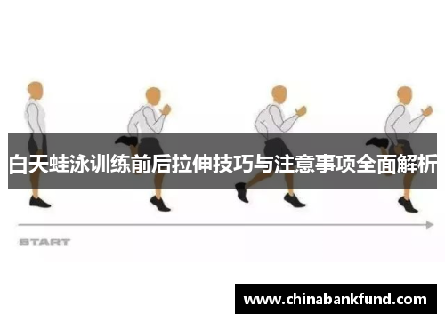 白天蛙泳训练前后拉伸技巧与注意事项全面解析