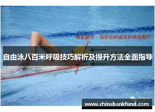 自由泳八百米呼吸技巧解析及提升方法全面指导
