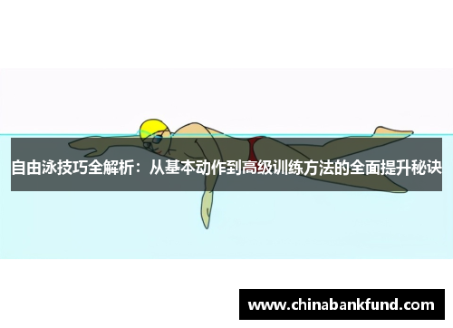 自由泳技巧全解析：从基本动作到高级训练方法的全面提升秘诀