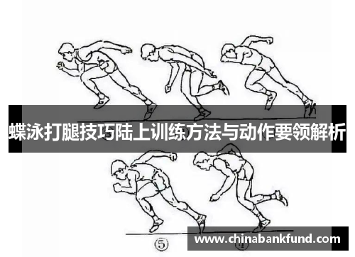 蝶泳打腿技巧陆上训练方法与动作要领解析